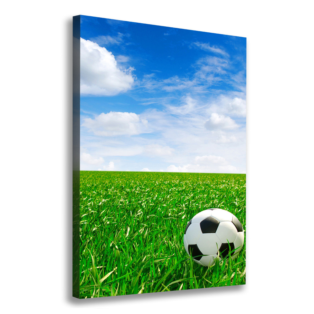 Canvas print Football in the meadow