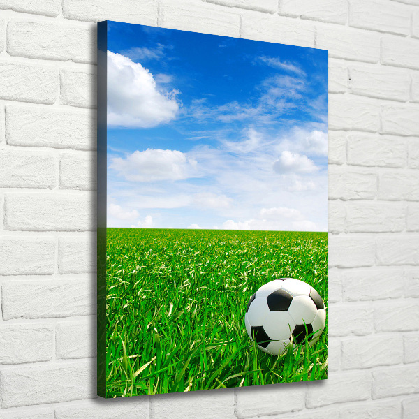 Canvas print Football in the meadow