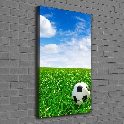 Canvas print Football in the meadow