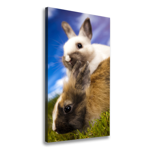 Wall art canvas large Two rabbits