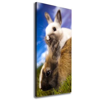 Wall art canvas large Two rabbits