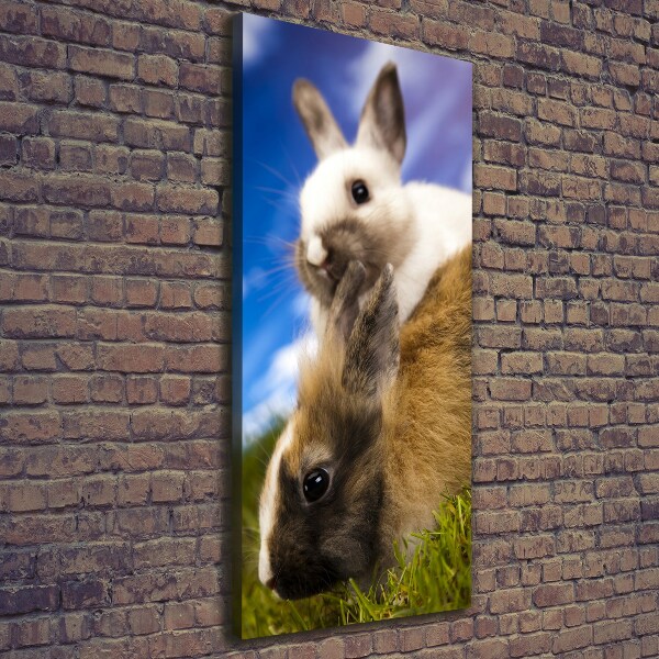 Wall art canvas large Two rabbits