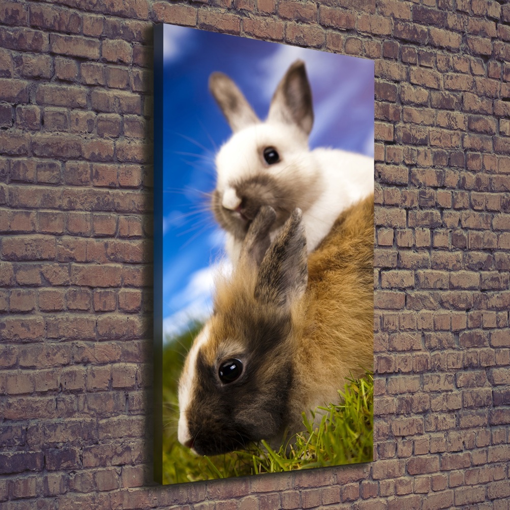 Wall art canvas large Two rabbits