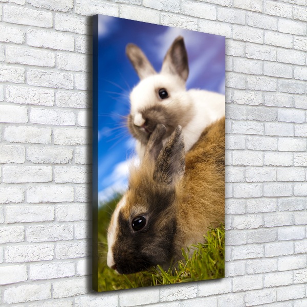 Wall art canvas large Two rabbits