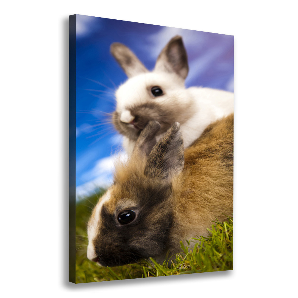 Wall art canvas large Two rabbits