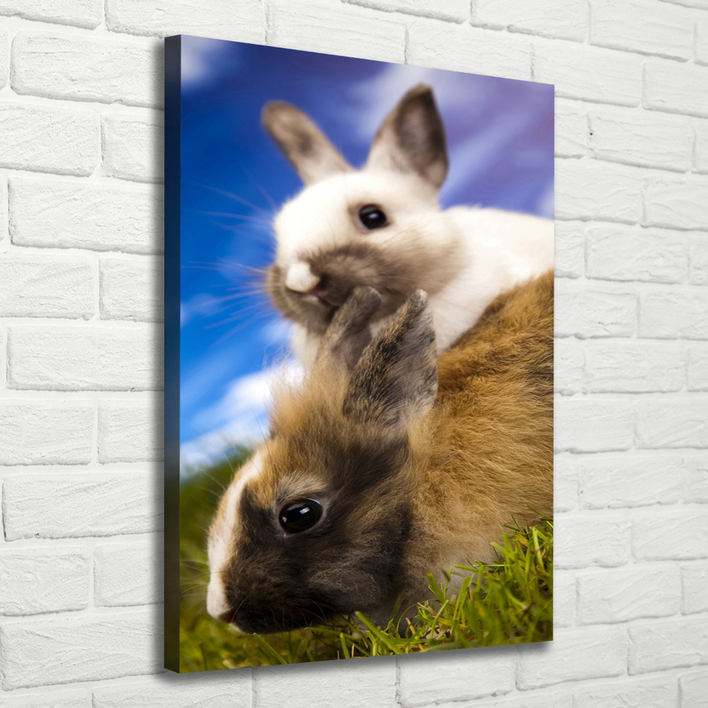 Wall art canvas large Two rabbits