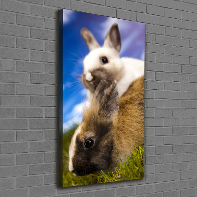 Wall art canvas large Two rabbits