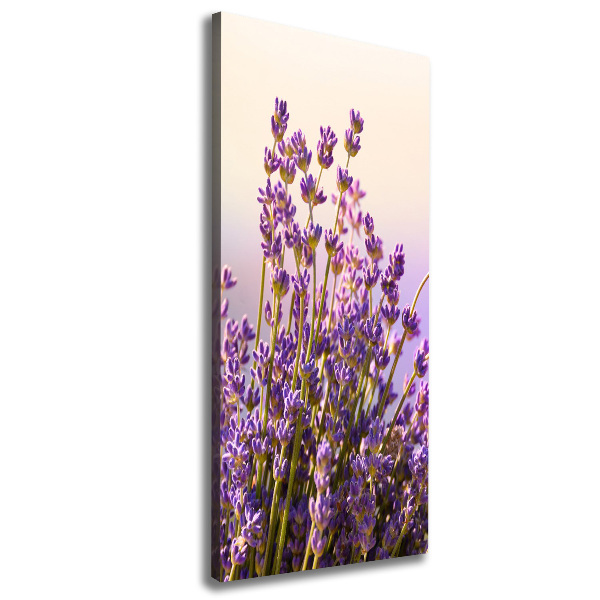 Large canvas wall art Lavender