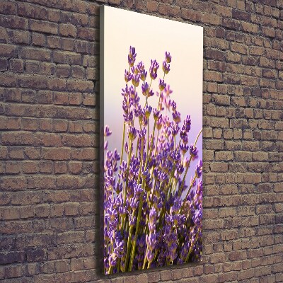 Large canvas wall art Lavender