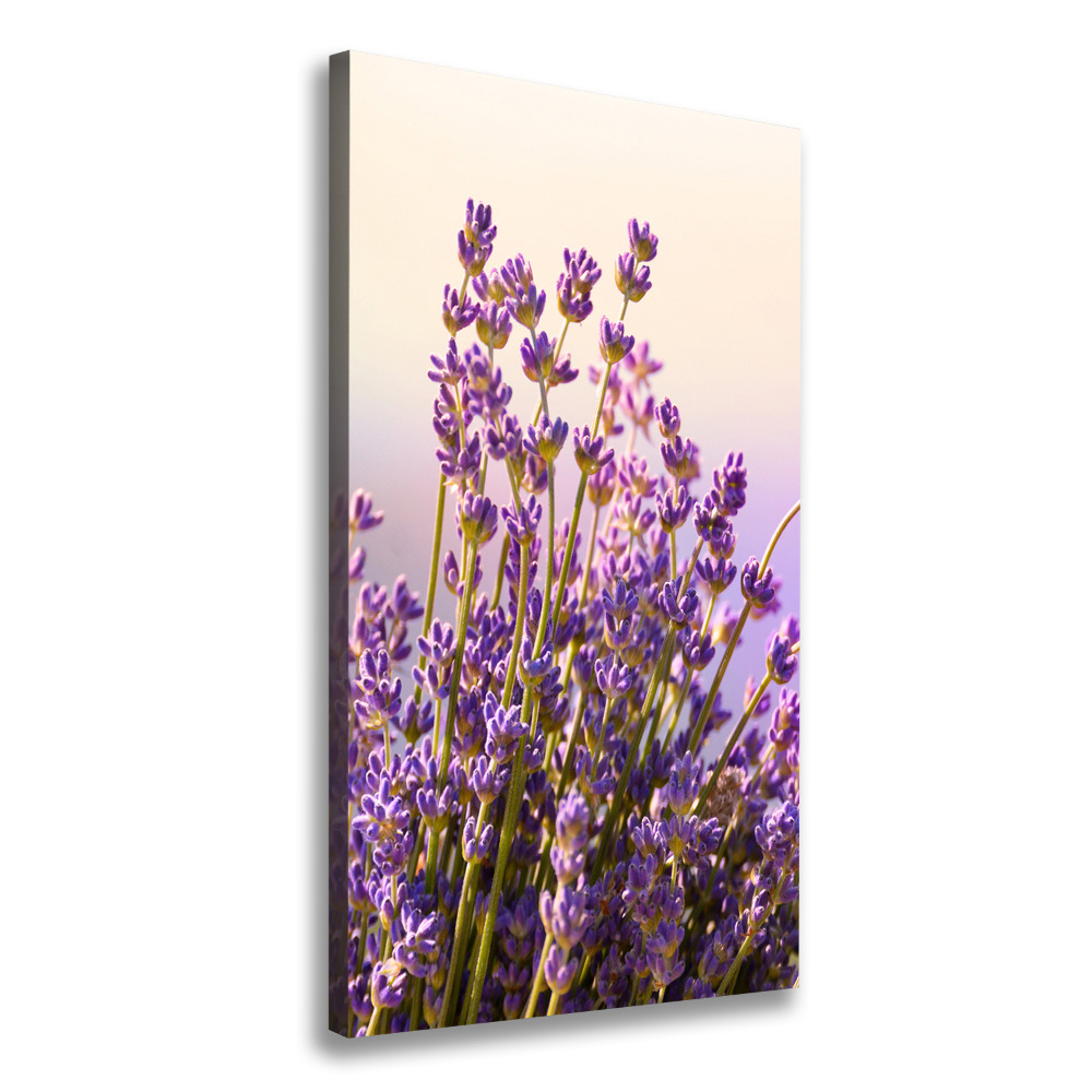 Large canvas wall art Lavender