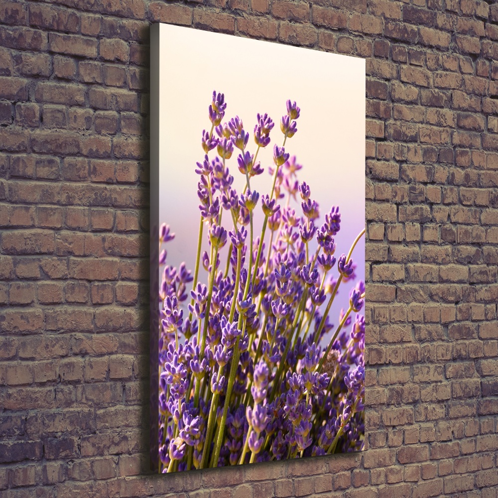 Large canvas wall art Lavender