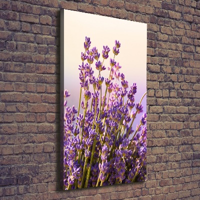 Large canvas wall art Lavender