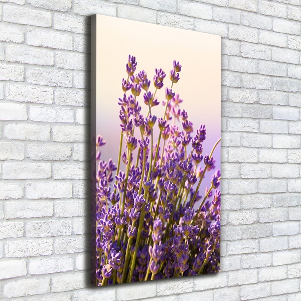 Large canvas wall art Lavender