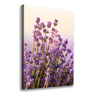 Large canvas wall art Lavender