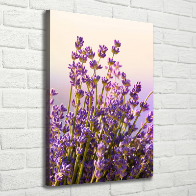 Large canvas wall art Lavender