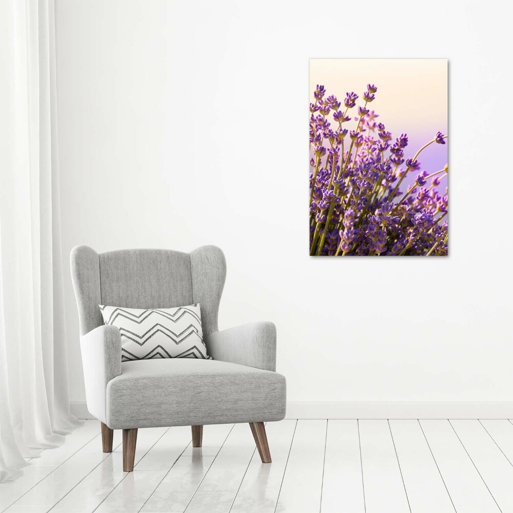 Large canvas wall art Lavender