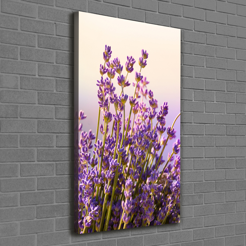 Large canvas wall art Lavender