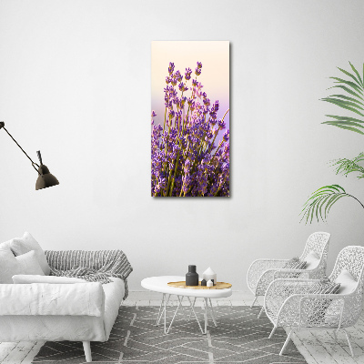 Large canvas wall art Lavender