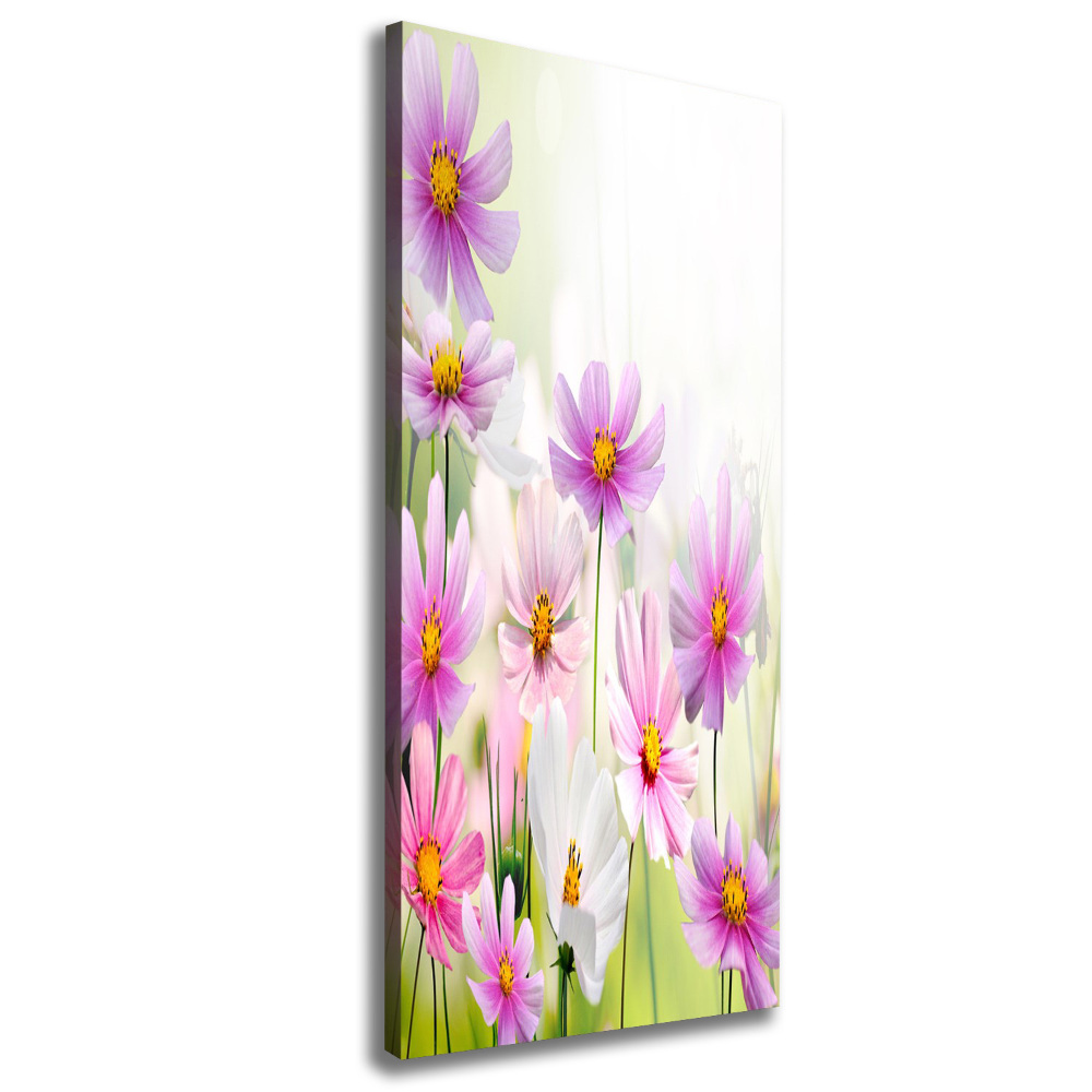 Canvas print Field flowers