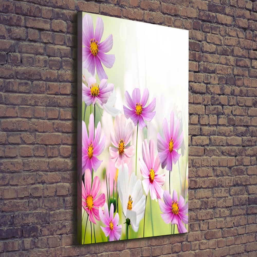 Canvas print Field flowers