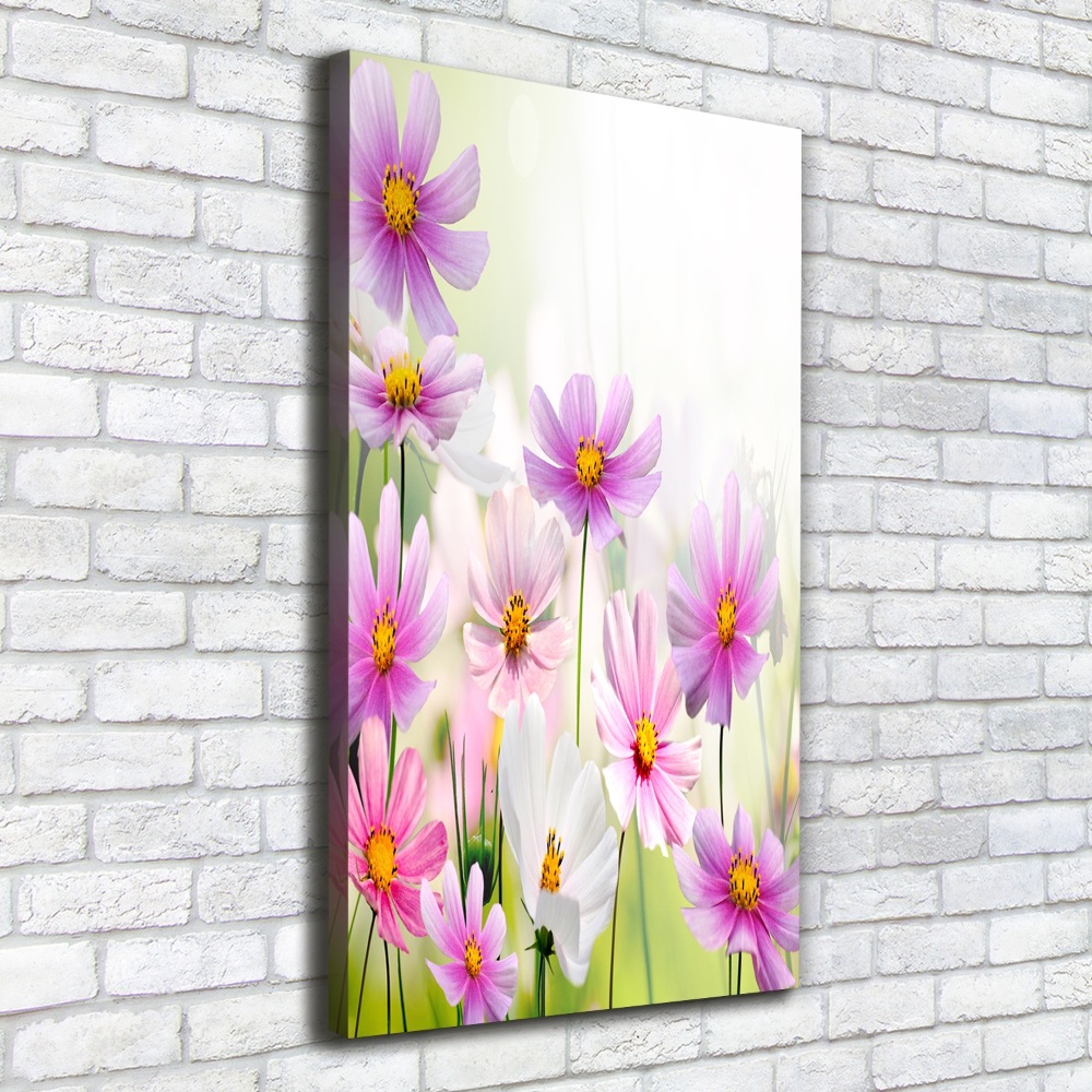 Canvas print Field flowers