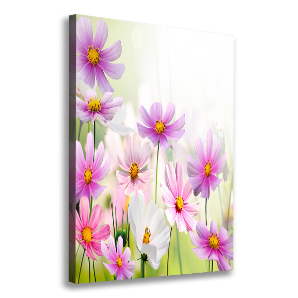 Canvas print Field flowers