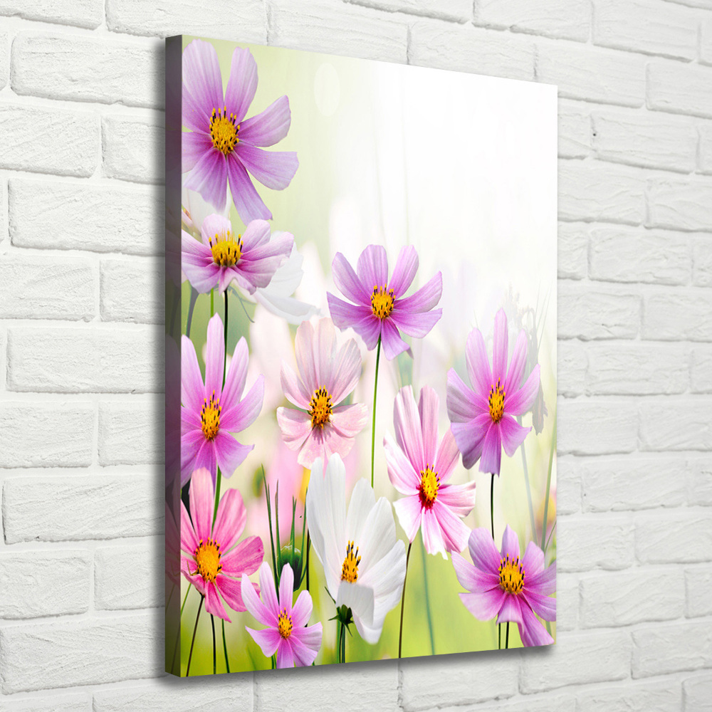 Canvas print Field flowers