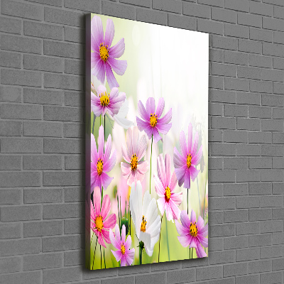 Canvas print Field flowers