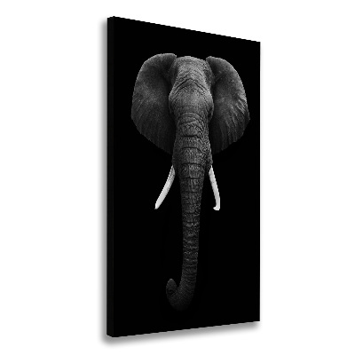 Canvas print African elephant