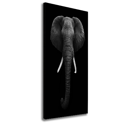 Canvas print African elephant