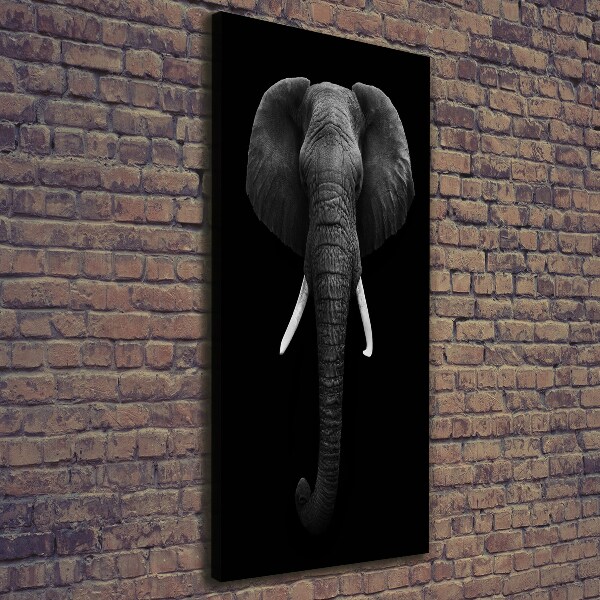 Canvas print African elephant