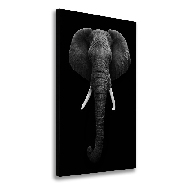 Canvas print African elephant