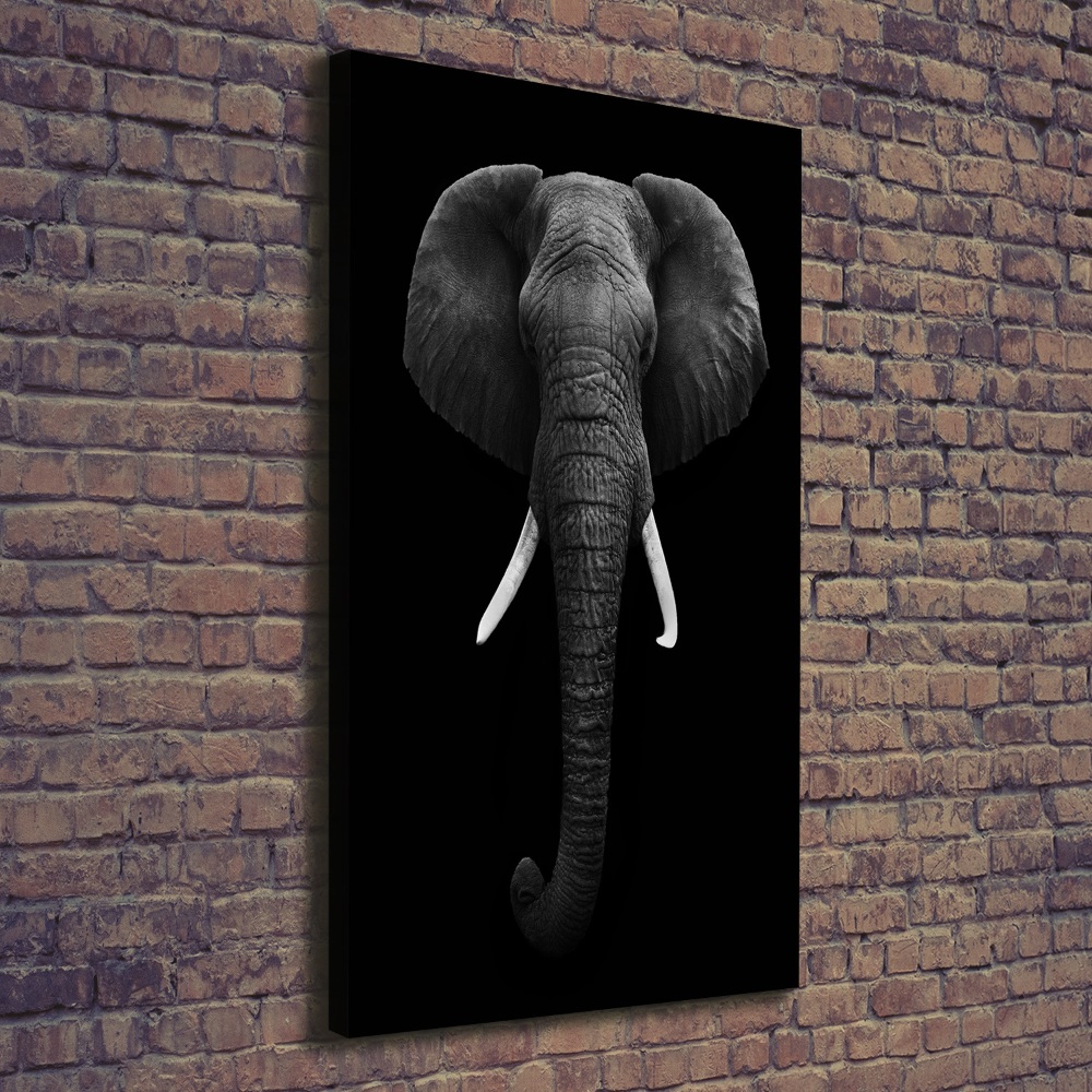 Canvas print African elephant