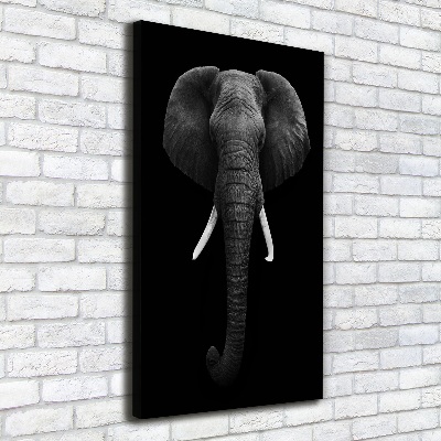 Canvas print African elephant