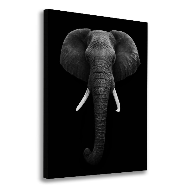 Canvas print African elephant