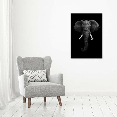 Canvas print African elephant