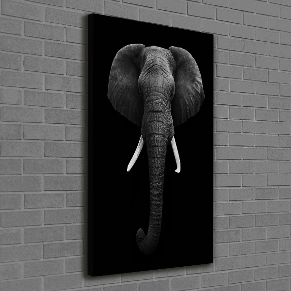 Canvas print African elephant