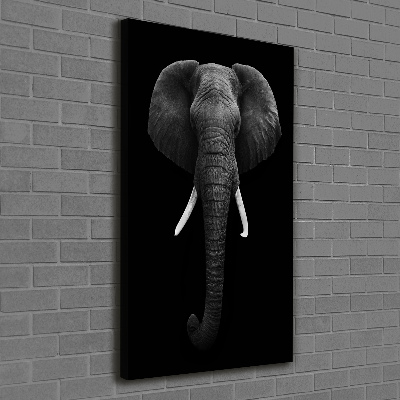 Canvas print African elephant