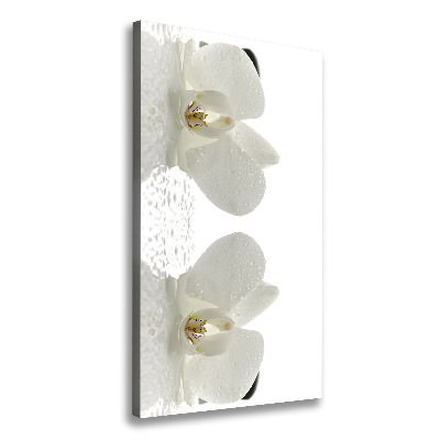 Canvas print Orchid and stones