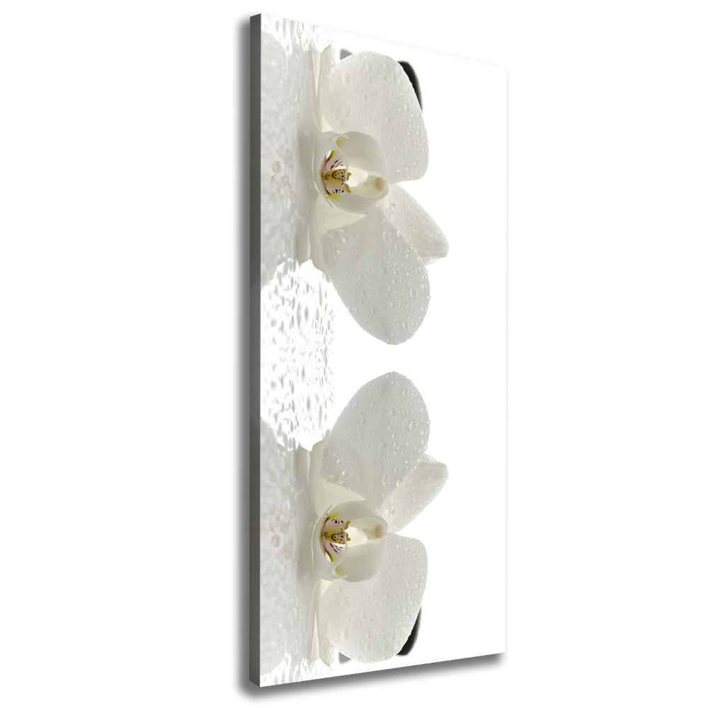 Canvas print Orchid and stones