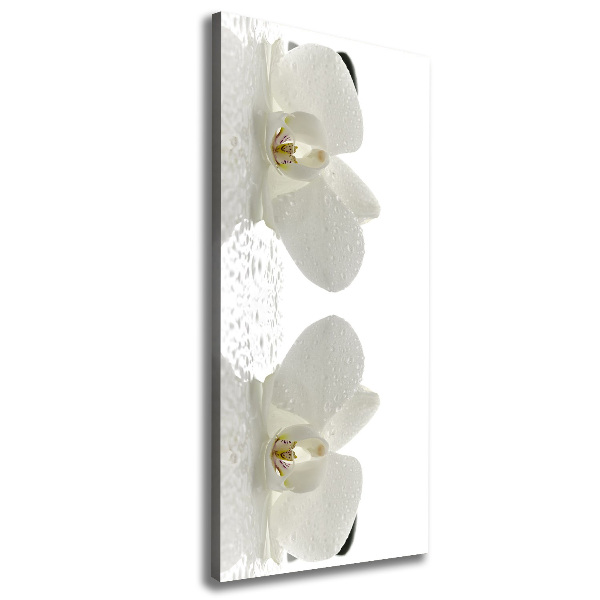 Canvas print Orchid and stones