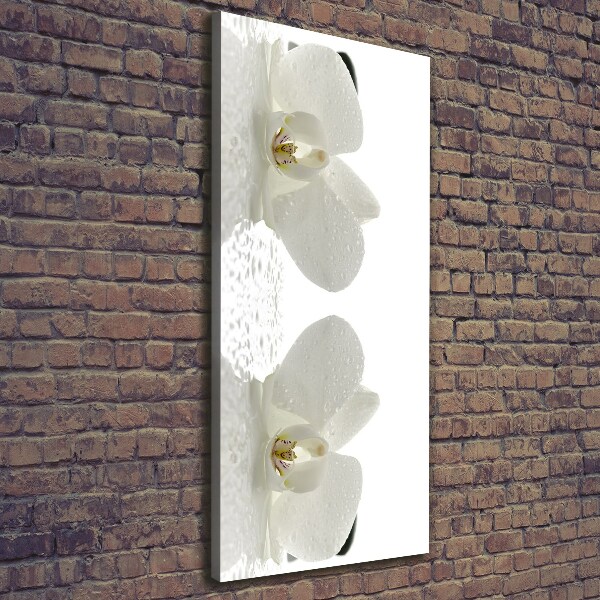 Canvas print Orchid and stones