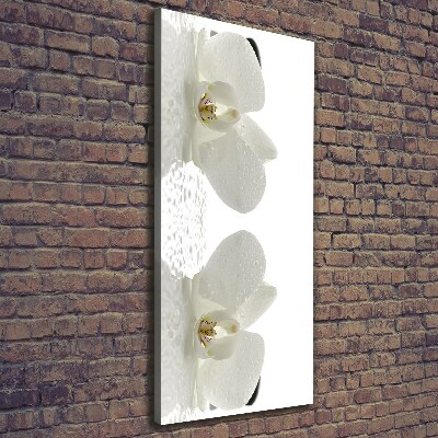 Canvas print Orchid and stones