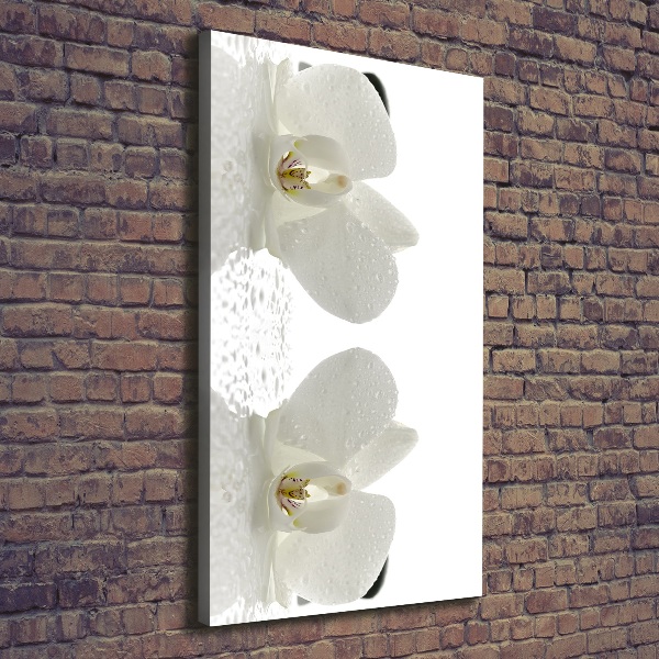 Canvas print Orchid and stones