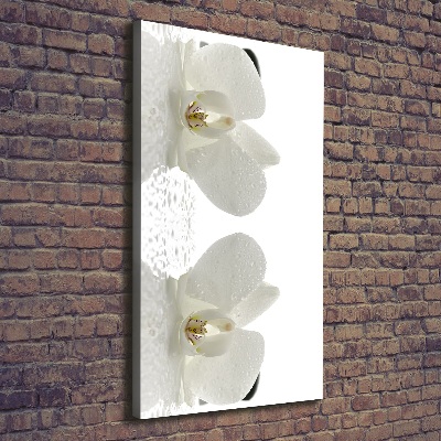 Canvas print Orchid and stones