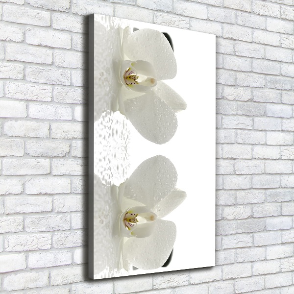 Canvas print Orchid and stones