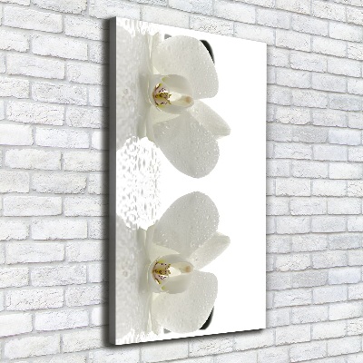 Canvas print Orchid and stones