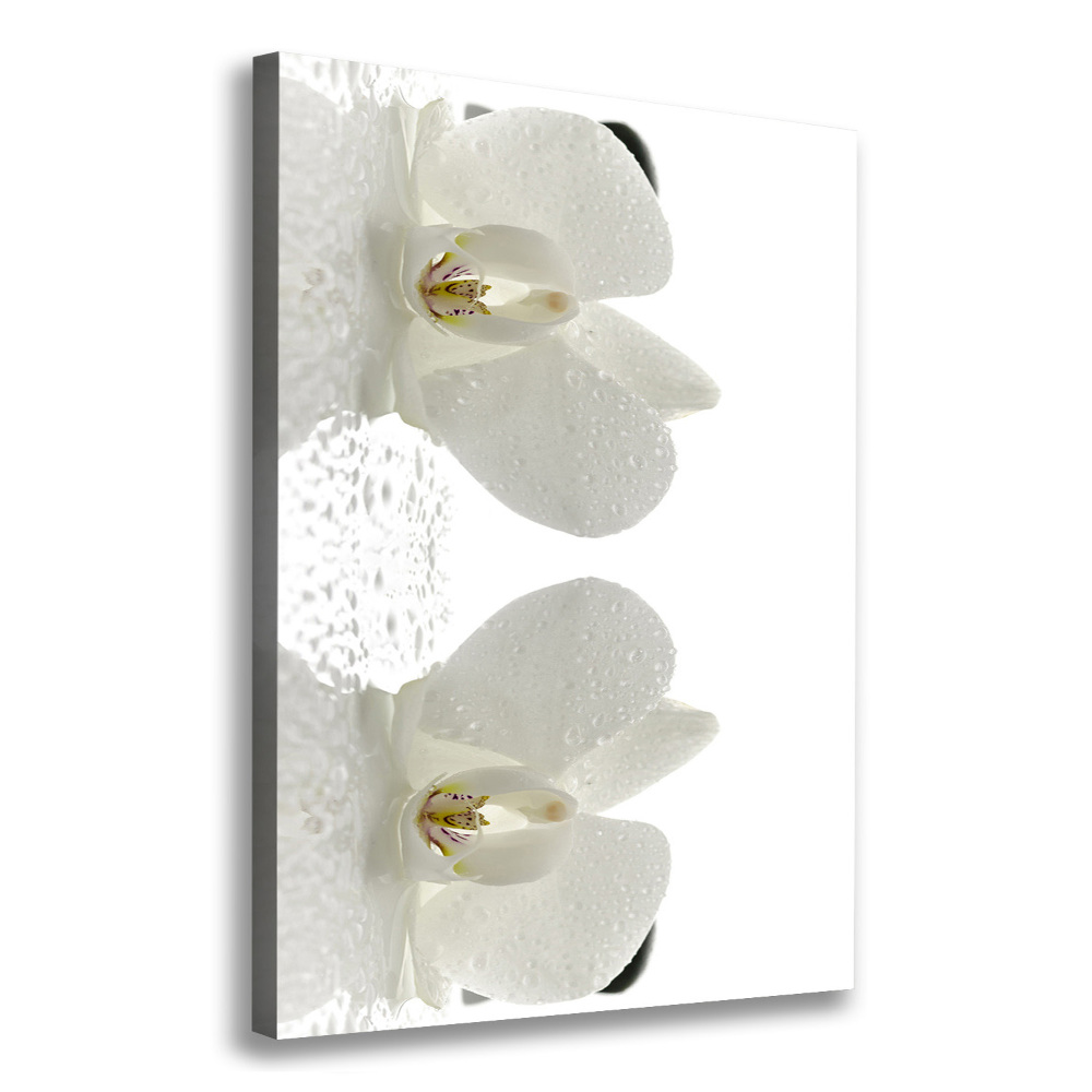 Canvas print Orchid and stones