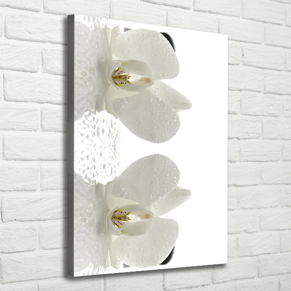 Canvas print Orchid and stones