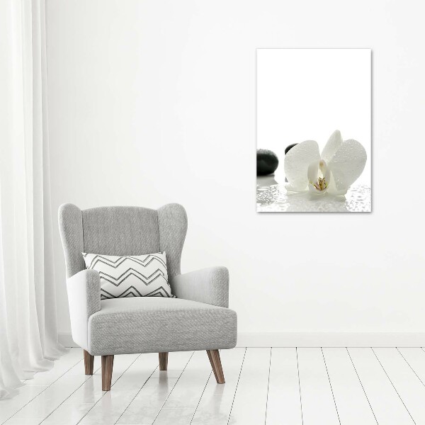 Canvas print Orchid and stones